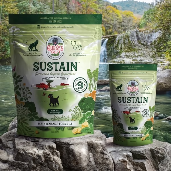 A 1:1 format ad creative featuring dog supplement bags placed on rocks in front of a waterfall, emphasizing a natural and organic brand identity.